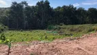 Foto 10 de Lote/Terreno à venda, 1036m² em Ouro Fino, Santa Isabel