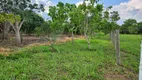 Foto 20 de Fazenda/Sítio com 3 Quartos à venda, 48000m² em Centro, Bela Vista de Goiás
