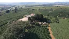 Foto 17 de Fazenda/Sítio com 3 Quartos à venda, 484000m² em , Itirapuã