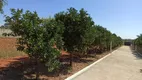 Foto 9 de Fazenda/Sítio com 2 Quartos à venda, 250m² em Sitio Recreio Encontro das Aguas, Hidrolândia