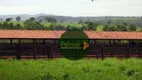 Foto 11 de Fazenda/Sítio à venda, 32863600m² em Zona Rural, Doverlândia