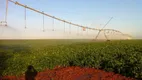 Foto 26 de Fazenda/Sítio à venda, 2000m² em Serra Verde, Belo Horizonte