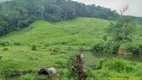 Foto 8 de Fazenda/Sítio com 4 Quartos à venda, 25000m² em Braco Grande, Miracatu