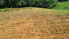 Foto 34 de Fazenda/Sítio com 5 Quartos à venda, 17400m² em Colonia Marcelino, São José dos Pinhais