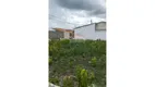 Foto 4 de Lote/Terreno à venda, 140m² em , Lajedo