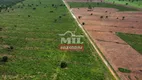 Foto 11 de Fazenda/Sítio à venda, 1650m² em Zona Rural, Ribeirão Cascalheira