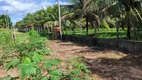 Foto 8 de Fazenda/Sítio com 1 Quarto à venda, 4000m² em Sitio Arena, São José de Mipibu