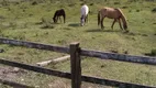 Foto 41 de Fazenda/Sítio com 2 Quartos à venda, 169400m² em Zona Rural, Piracaia