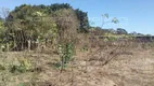 Foto 13 de Fazenda/Sítio com 2 Quartos à venda, 450m² em , Santa Rosa de Viterbo