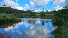 Foto 4 de Fazenda/Sítio com 4 Quartos à venda, 72000000m² em Centro, Pirenópolis