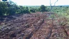 Foto 3 de Fazenda/Sítio à venda em Centro, Novo São Joaquim