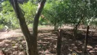 Foto 27 de Fazenda/Sítio com 4 Quartos à venda, 288000m² em Zona Rural, Piracanjuba