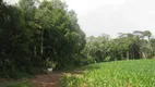 Foto 5 de Fazenda/Sítio com 1 Quarto à venda, 49900m² em Zona Rural, São José dos Pinhais