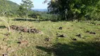 Foto 6 de Lote/Terreno à venda, 75000m² em Linha Avila, Gramado