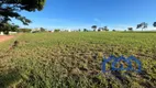 Foto 5 de Lote/Terreno à venda, 400m² em , Paranapanema