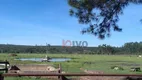 Foto 17 de Fazenda/Sítio à venda, 260000m² em Centro, Itirapina