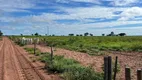 Foto 11 de Fazenda/Sítio à venda, 7744000m² em Zona Rural, Presidente Kennedy