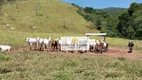 Foto 25 de Fazenda/Sítio com 10 Quartos à venda, 1000m² em Centro, Roseira