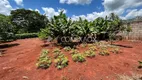 Foto 22 de Fazenda/Sítio com 2 Quartos à venda, 75m² em Bananal, Campinas