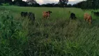 Foto 31 de Fazenda/Sítio à venda, 20000m² em Zona Rural, Funilândia