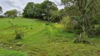 Foto 20 de Fazenda/Sítio com 4 Quartos à venda, 48400m² em Centro, Piracaia