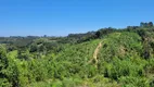 Foto 3 de Fazenda/Sítio à venda, 40000m² em Rio Vermelho Estação, São Bento do Sul