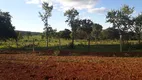 Foto 8 de Lote/Terreno à venda, 20000m² em Zona Rural, Araçaí