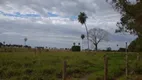 Foto 13 de Fazenda/Sítio com 4 Quartos à venda, 1855m² em Centro, Nioaque