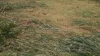 Foto 3 de Lote/Terreno à venda, 400m² em Parque Ortolandia, Hortolândia