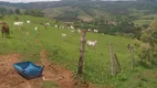 Foto 16 de Fazenda/Sítio com 3 Quartos à venda, 774400m² em Zona Rural, Amparo