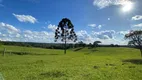 Foto 71 de Fazenda/Sítio com 10 Quartos à venda, 3000m² em Campo Alto, Tijucas do Sul