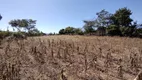 Foto 35 de Fazenda/Sítio com 3 Quartos à venda, 20000m² em Area Rural de Santa Maria, Brasília