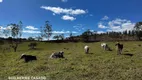 Foto 3 de Fazenda/Sítio com 1 Quarto à venda, 92000m² em Turvinho, Pilar do Sul