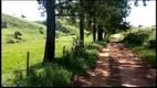 Foto 15 de Fazenda/Sítio com 3 Quartos à venda, 1m² em , Silveiras