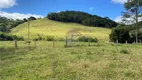 Foto 10 de Fazenda/Sítio com 5 Quartos à venda, 600000m² em Centro, Oliveira Fortes