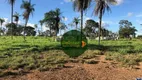Foto 13 de Fazenda/Sítio à venda, 5320000m² em Zona Rural, Gurupi