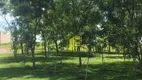 Foto 14 de Lote/Terreno à venda, 225m² em , Ipiguá