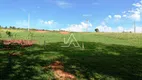 Foto 22 de Fazenda/Sítio à venda, 932m² em , Nicolau Vergueiro