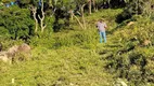 Foto 8 de Fazenda/Sítio à venda em Centro, Camanducaia