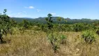 Foto 10 de Fazenda/Sítio com 2 Quartos à venda, 15m² em Zona Rural, Colinas do Sul