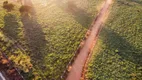 Foto 4 de Fazenda/Sítio à venda em Setor Central, São Luís de Montes Belos