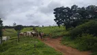 Foto 9 de Fazenda/Sítio com 3 Quartos à venda, 60000m² em Sao Vicente de Paula, Conselheiro Lafaiete