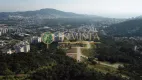 Foto 7 de Lote/Terreno à venda, 490m² em Itacorubi, Florianópolis