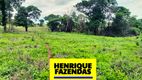 Foto 2 de Fazenda/Sítio com 2 Quartos à venda, 208000m² em Luzimangues, Porto Nacional
