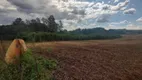 Foto 7 de Fazenda/Sítio à venda, 24200m² em Zona Rural, Paiçandu