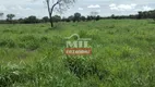 Foto 6 de Fazenda/Sítio à venda, 856m² em Zona Rural, Figueirópolis