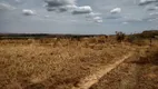 Foto 4 de Lote/Terreno para alugar, 20000m² em Area Rural de Ceilandia, Brasília