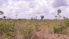 Foto 5 de Fazenda/Sítio com 2 Quartos à venda, 1500400m² em Zona Rural, São Geraldo do Araguaia