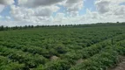 Foto 2 de Fazenda/Sítio com 3 Quartos à venda, 84000m² em Centro, Vera Cruz