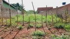 Foto 3 de Lote/Terreno à venda, 300m² em Residencial Hugo de Moraes, Goiânia